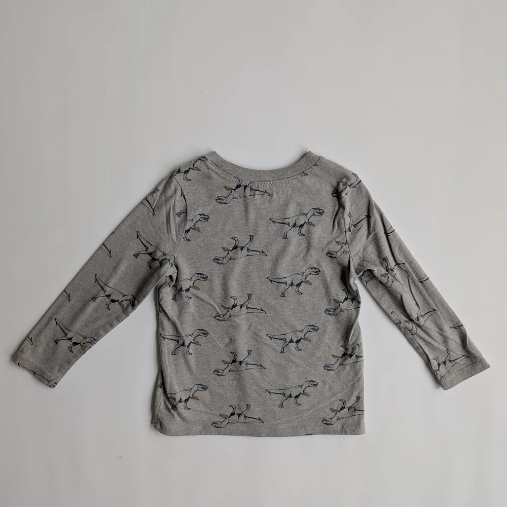 Dinosaur With Pepperoni Pizza Long Sleeve T-Shirt